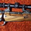 Lion rifle .338 Win Mag Mauser custom by Sterling Davenport